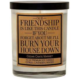 Our Friendship Is Like This Candle Lavender + Lemongrass Candle