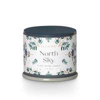 North Sky Demi Vanity Tin Candle by Illume