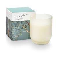 Hinoki Sage Boxed Candle