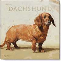 Dachshund Print - 5 x 5 in.