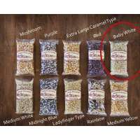 Baby White Popcorn 4 oz. Sampler