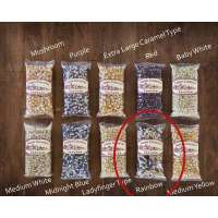 Rainbow Popcorn 4 oz. Sampler